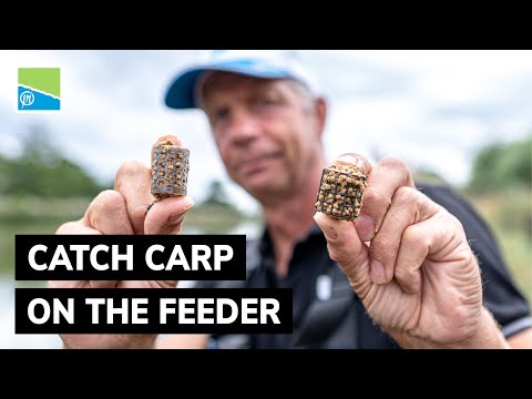 Catch CARP On The Feeder!🎣