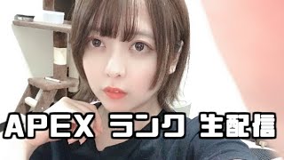 apex legends ランク 顔出し生配信 ７日目