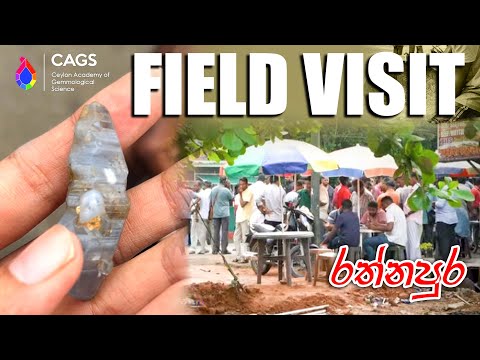 Field Visit Experience with CAGS Students!