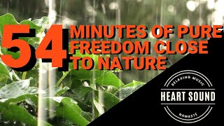 54 minutes of pure freedom close to nature. 54 minutos de pura liberdade perto da natureza.
