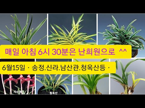유튜브 썸네일