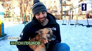 Схопити за живе: Вегани