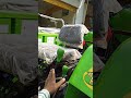 Indo Farm 3035 Di