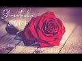 Status Video 5 Sharatadin Yoddha Romantic Love Status Bengali The Wonder Nest