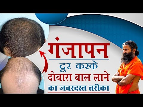 Jamalgota Croton Tigillum Seeds