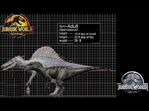 Here’s WHY The Indominus-Rex Doesn’t Grow As Big As The Ingen Spinosaurus