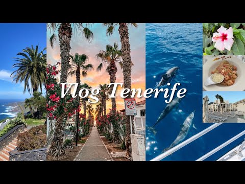 SUMMER 2023 | Tenerife Vlog