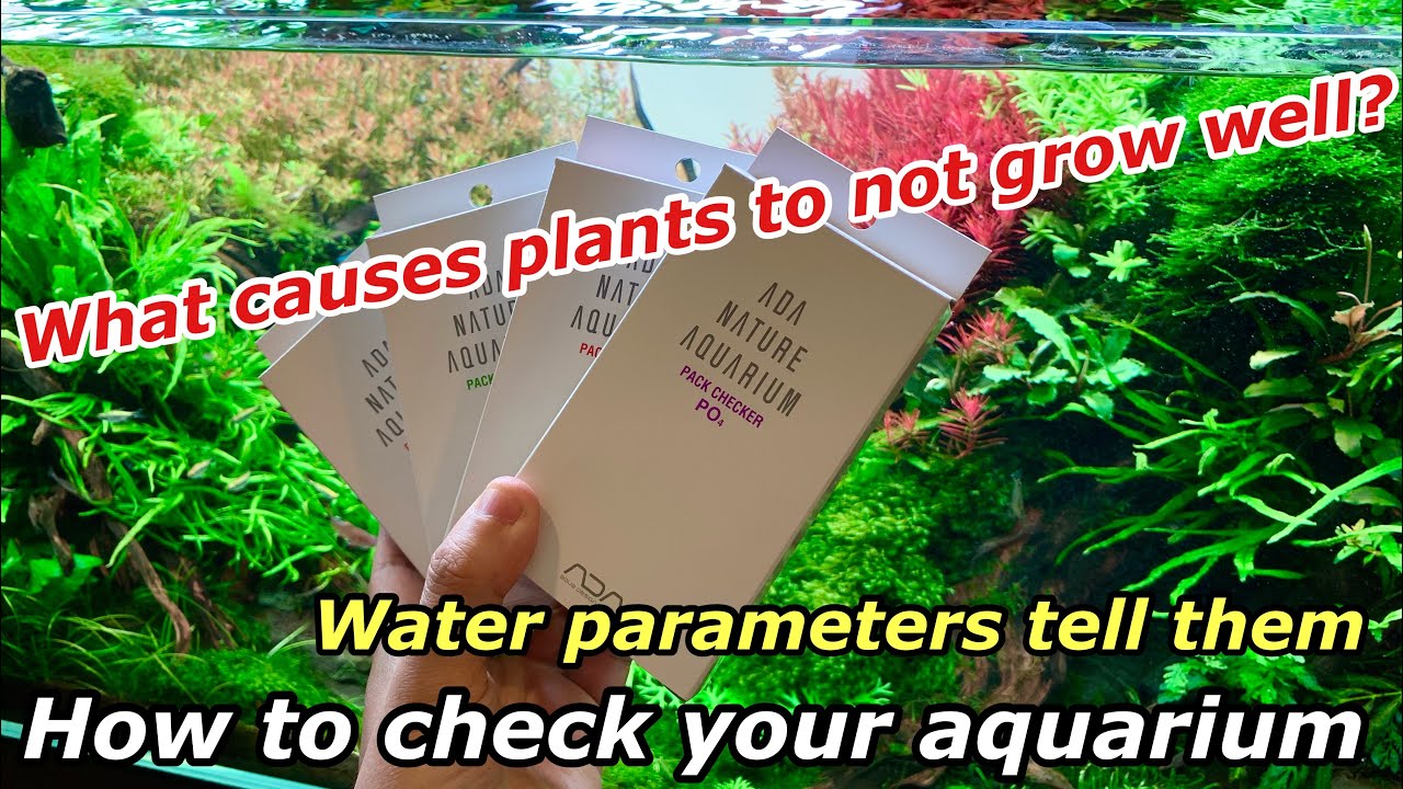 How to check your aquarium water「Which testing kit should you use?」ADA nature aquarium for beginners