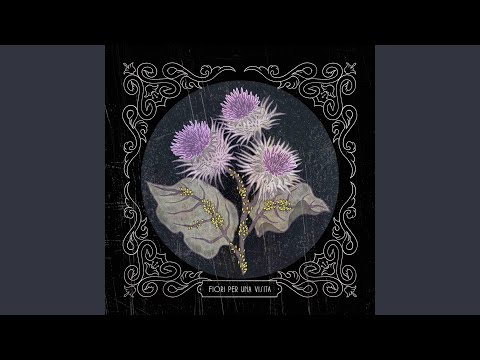 PRIMAE NOCTIS (feat. TITO SHERPA)