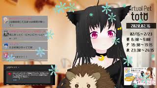 【SHOWROOM】totoฅ•ω•ฅとある猫カフェ＜ミラー配信＞