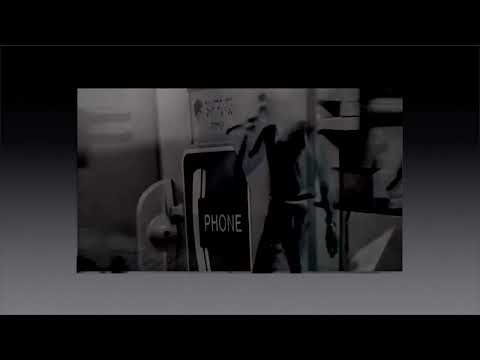 ROBI INSINNA - DGTC (The Lunacy of Flowers Maximum Version) [Video]