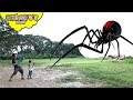 GIANT INSECTS Invasion! Skyheart and Daddy battles huge creatures insects water war