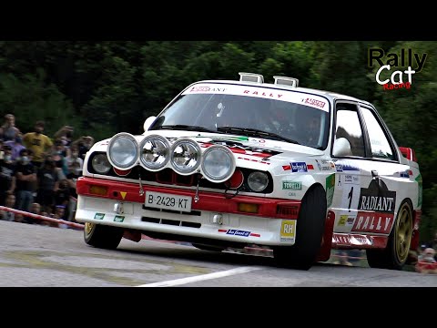 BMW M3 E30 Rally Tribute / Brutal Sound 😍 Group A [RallyCatRacing]