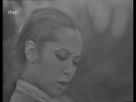 La Morucha - Alegrías