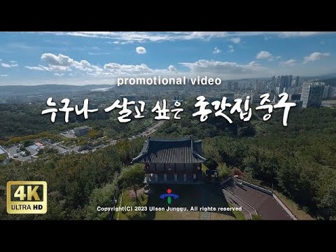 비디오 6