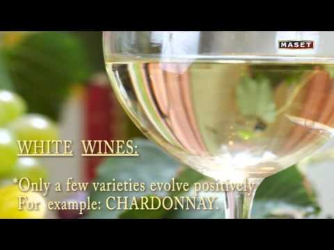 Chapter_11_Wine ageing and finishing processes_11.divx