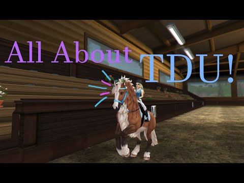 Everything You Need to Know About The Dreamers United! | SSO Club