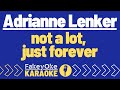 Adrianne Lenker Not A Lot Just Forever Karaoke