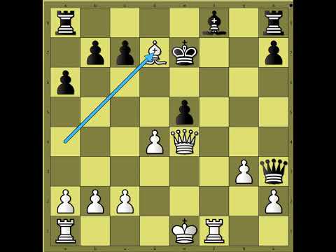 Okršaj u blitz partiji 🔷️🔹️🔷️🔹️🔷️ FISCHER vs MATULOVIĆ #3459