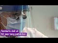Coen is al vijftig jaar tandarts, terwijl hij het eerst helemaal niet wilde