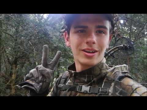 Chasse Caroux - Chasse du Cerf au Brame à l'Arc - Mon premier Cervidé