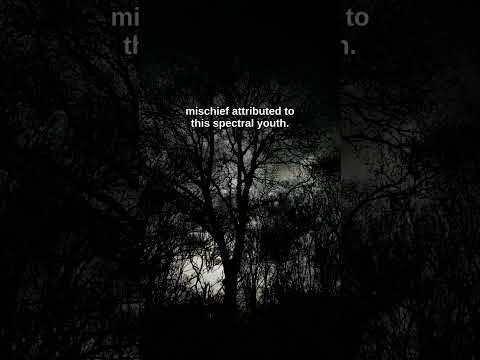 The One-Legged Shadow of Carrancas: Brazil’s Saci-Pererê Mystery #Shorts