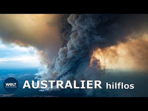 FEUERSBRUNST: Flucht - Australier geben ganze Küstenregionen auf