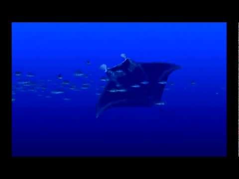 Manta Tech Demo 1 Playstation 1 HD