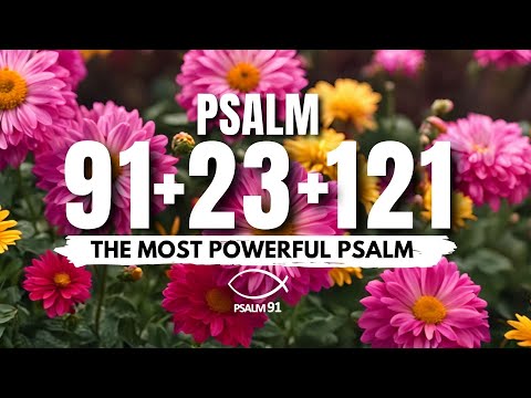 [🙏NIGHT PRAYER!] PSALM 91 PSALM 23 PSALM 121