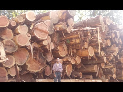 064 On A Hard Lifter Above Open Road