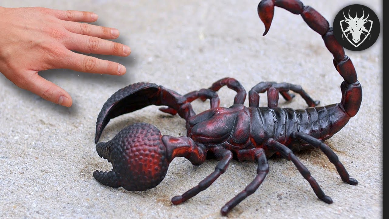 Se Você Encontrar um Escorpião Assim, Fuja Rápido - Os Escorpiões mais Perigosos do Mundo