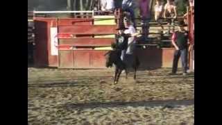 preview picture of video 'Rodeio em Poney montaria 2 - www.TOPCAVALOS.com.br - Itaúna /MG  09 2014'