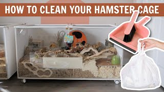 How to Clean your Hamster Cage 🧼