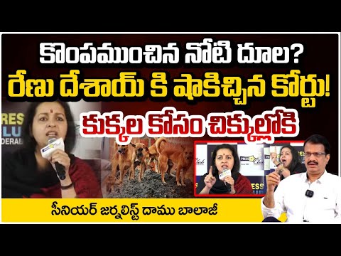 కొంపముంచిన నోటి దూల? | Daamu Balaji About Renu Desai Comments | RED TV
