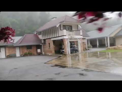 Today is my last day, (Chefoo Cameron Highlands)