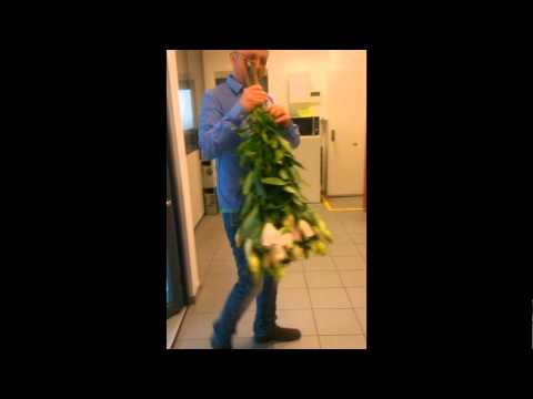 EGT Express CZ - International Women's Day (IWD)﻿