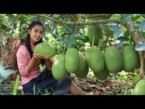 Fresh jackfruit in my homeland