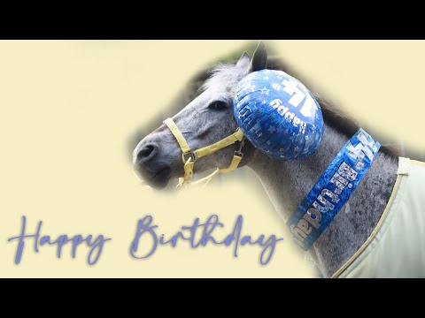 Happy Birthday, Basil!