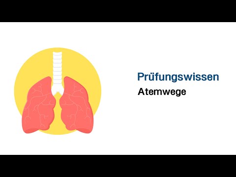 Mündliche Prüfungsfragen - Atemwege