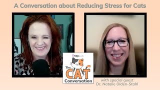 Reducing Stress for Your Cat: A Conversation with An Integrative Veterinarian