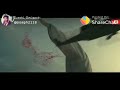 Whatsapp Status