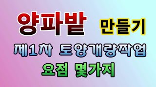 [텃밭농부.789]  양파밭 1차 토양만들기.화학적 개량작업 #양파재배