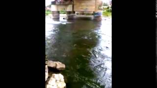preview picture of video 'Reportaje  La contaminación en el río Tehuantepec'