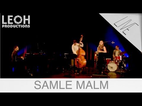 Thomas Torstrup | Samle Malm | Oppdal Kulturhus (2014)