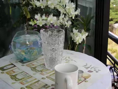 Elfenlied von Hugo Wolf/ Mezzosopran Zahie Kim김자희/ Klavier Doseok Hugo Kim 김도석