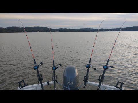 How I Quickly Find Catfish In A Reservoir