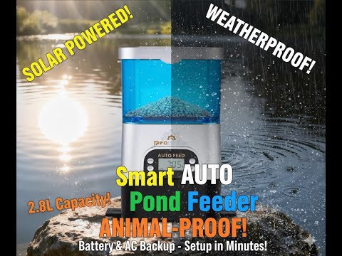 Best Solar Automatic Fish Feeder for Ponds: 2.8L Animal-Proof Timed Feeder Setup & Full Review 2025