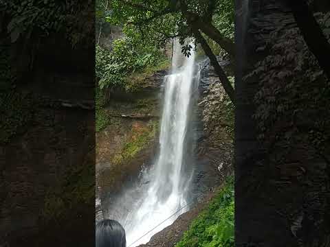 cascada la livertad. . en gonzalo pizarro . sucumbios