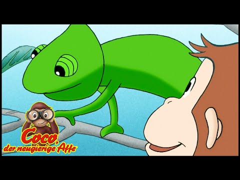 Coco der Neugierige Affe | Coco lernt andere Tiere kennen! | Cartoons für Kinder