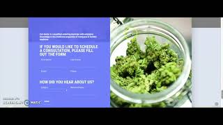 Medical Cannabis Mobile Service Shop Store Website Presentation Promo Professional Web Design & SEO